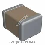 1210J0100393GCT